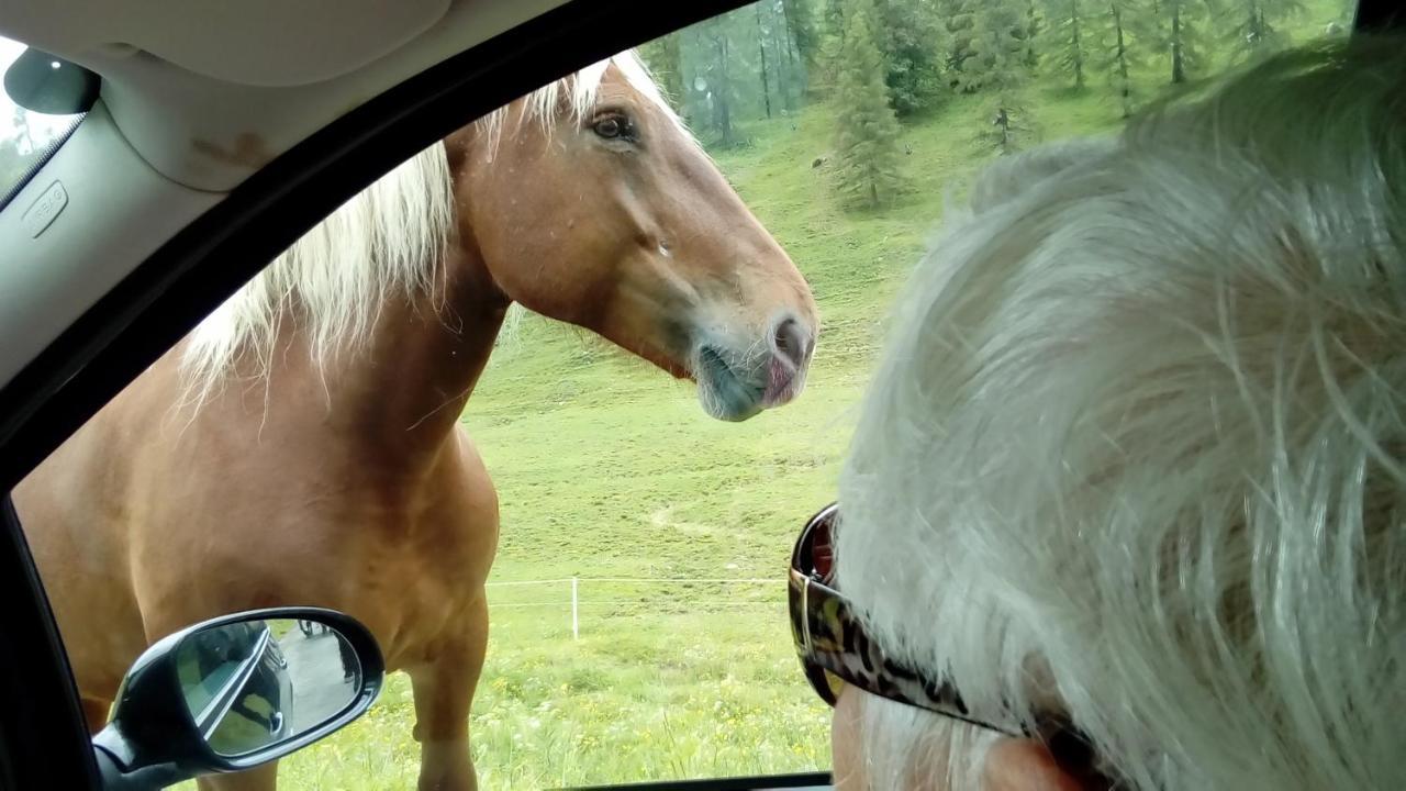 Tirol Presseggersee